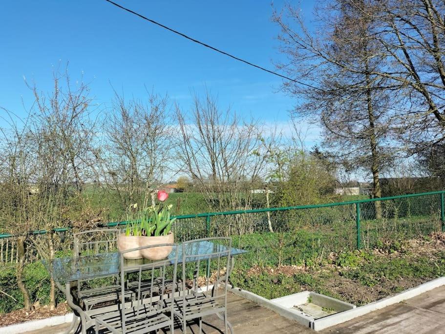Gite Rural La Ferme Du Semeur-Zaaiershof Lessines エクステリア 写真
