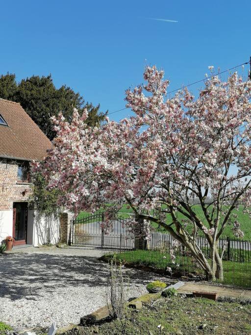 Gite Rural La Ferme Du Semeur-Zaaiershof Lessines エクステリア 写真